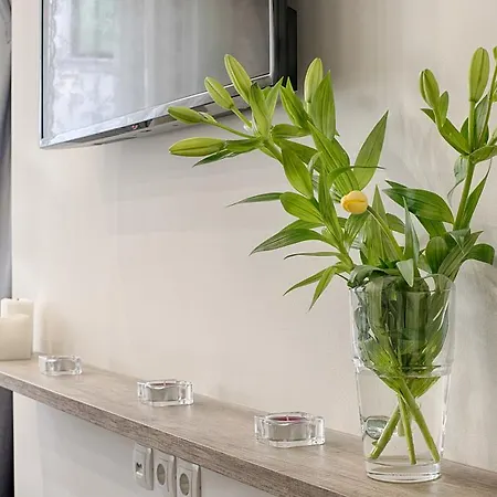 Sweet 16 アパート